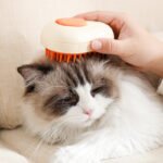 Wireless Pet Steam Brush – Perfect for Cats and Dogs ! - Image 2